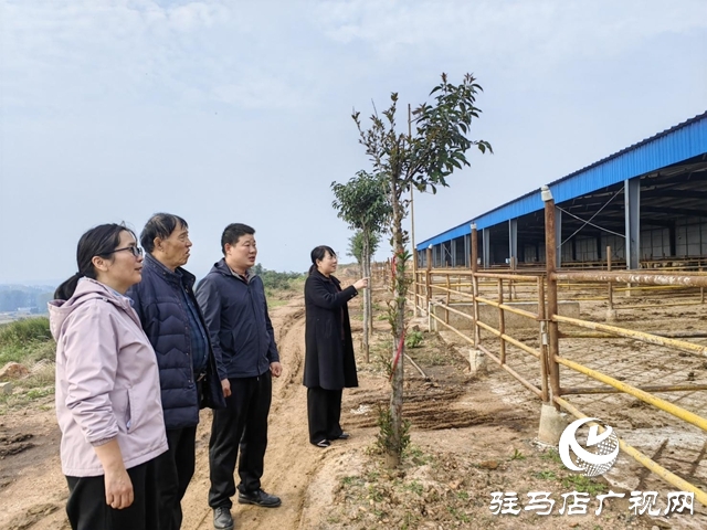 陶莊村：“五星”支部強(qiáng)引領(lǐng) 筑牢堡壘促振興