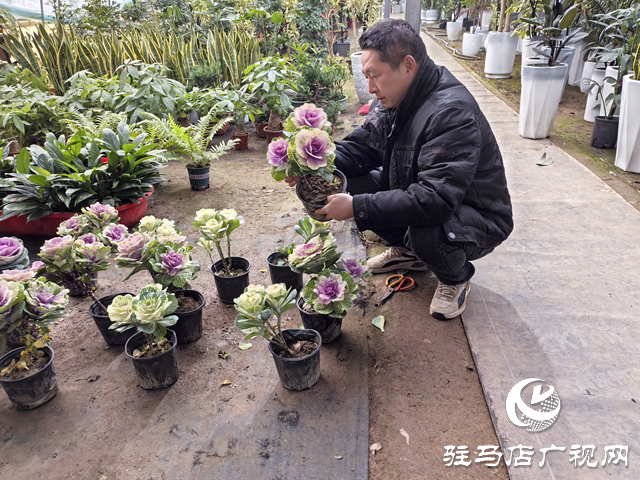 賈立：花卉鋪就致富路