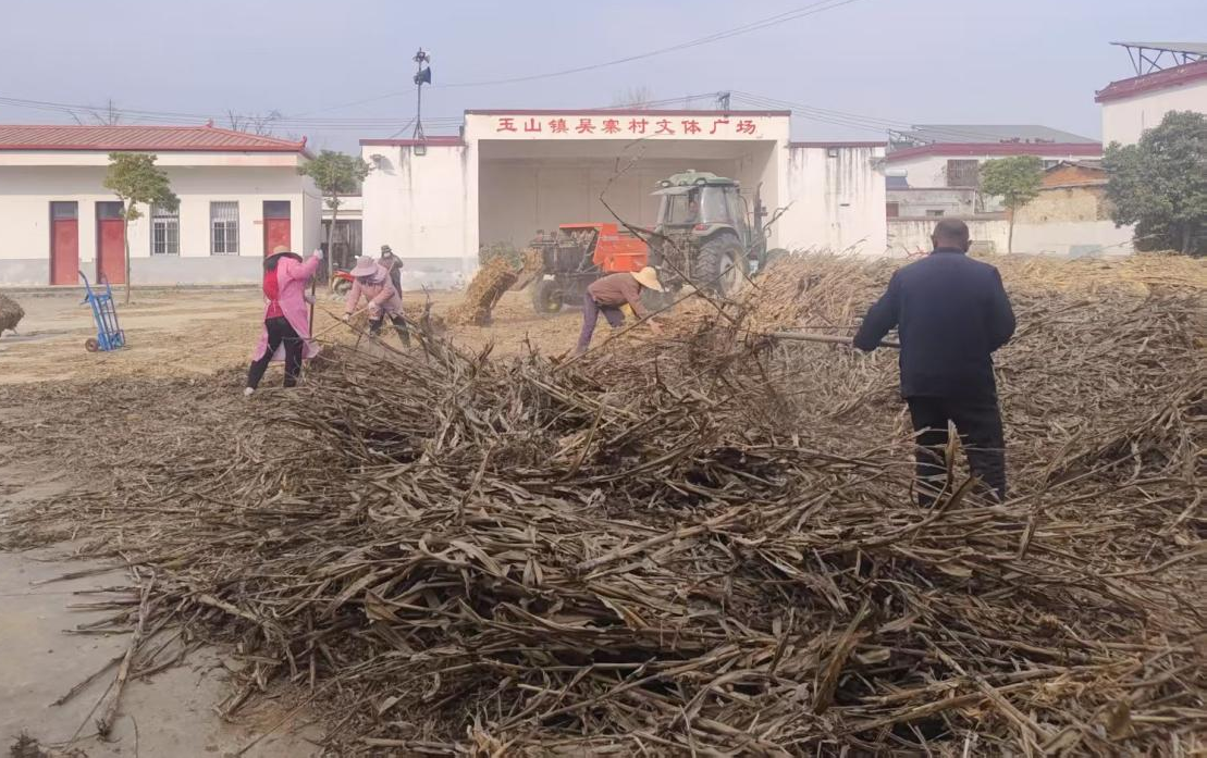 遂平縣玉山鎮(zhèn)吳寨村：玉米秸稈變廢為寶 破解秸稈處理難題