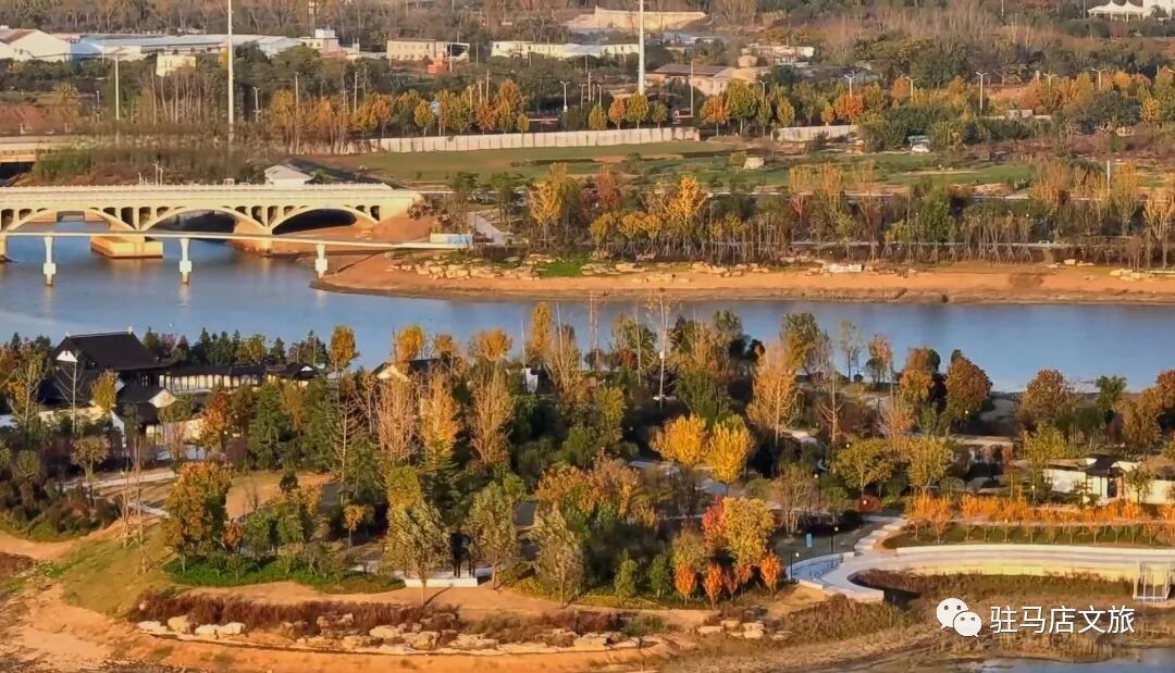 家門口的練江湖，藏著一片會“燃燒”的森林！