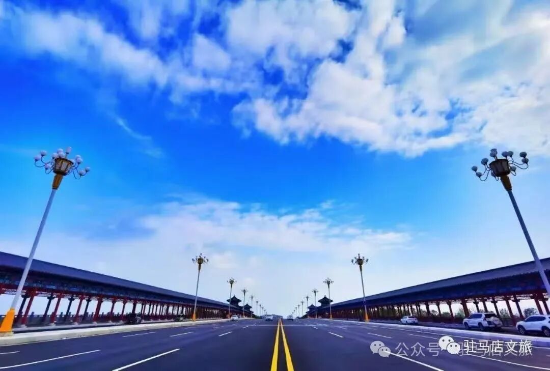 家門口的練江湖，藏著一片會“燃燒”的森林！