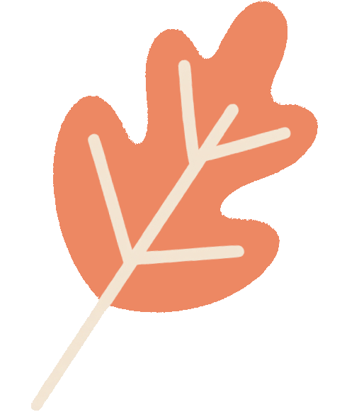 家門口的練江湖，藏著一片會“燃燒”的森林！