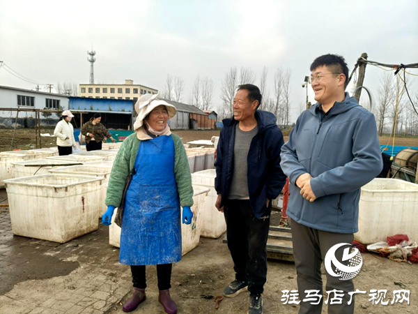 平輿縣郭樓街道前店村:讓鄉(xiāng)村產(chǎn)業(yè)添“薯”光