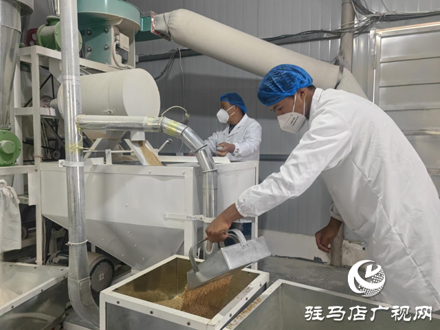 駐馬店市驛城區(qū):石磨轉(zhuǎn)出新動能 特色產(chǎn)業(yè)繪就鄉(xiāng)村振興新圖景