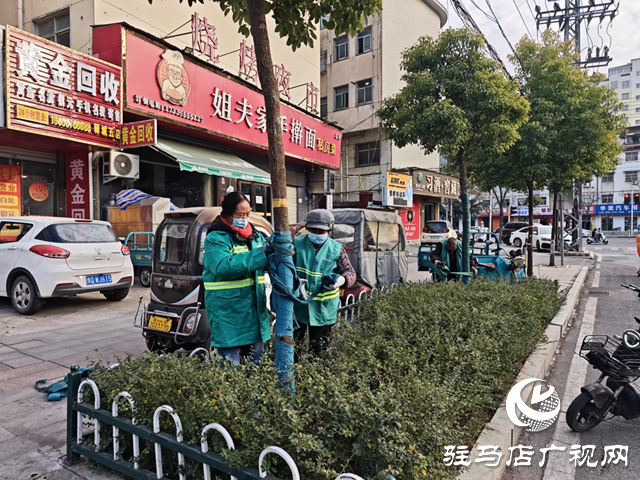  開發(fā)區(qū)城市管理事務(wù)中心給樹木“穿冬裝” 溫暖過冬添景色