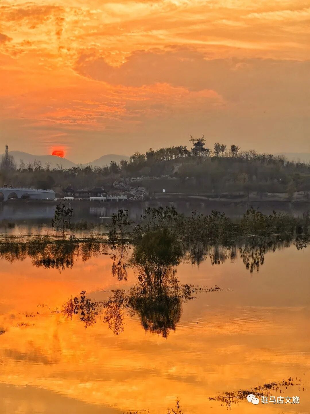 家門口的練江湖，藏著一片會“燃燒”的森林！