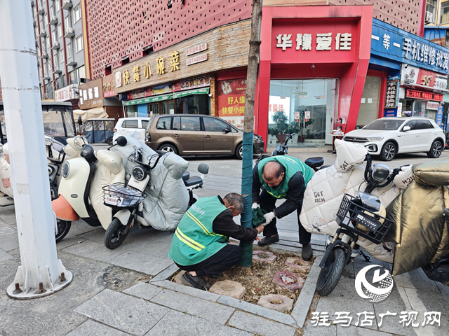  開發(fā)區(qū)城市管理事務(wù)中心給樹木“穿冬裝” 溫暖過冬添景色