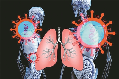 新方法可批量生產(chǎn)微型肺類器官