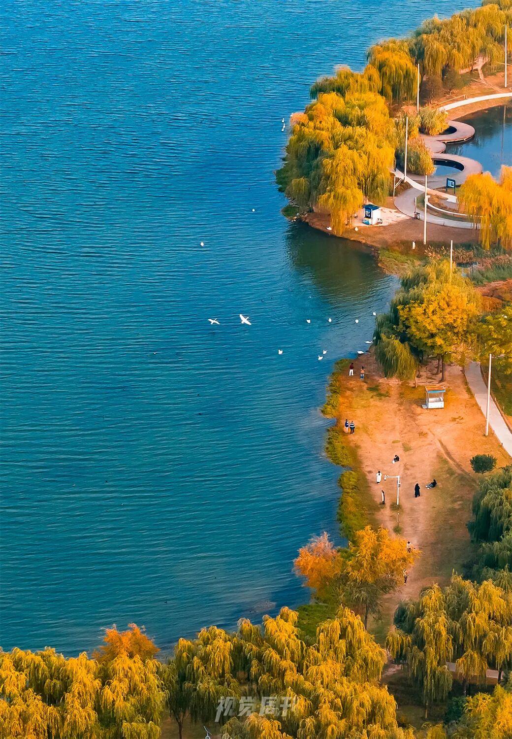 美！河南冬景上新啦