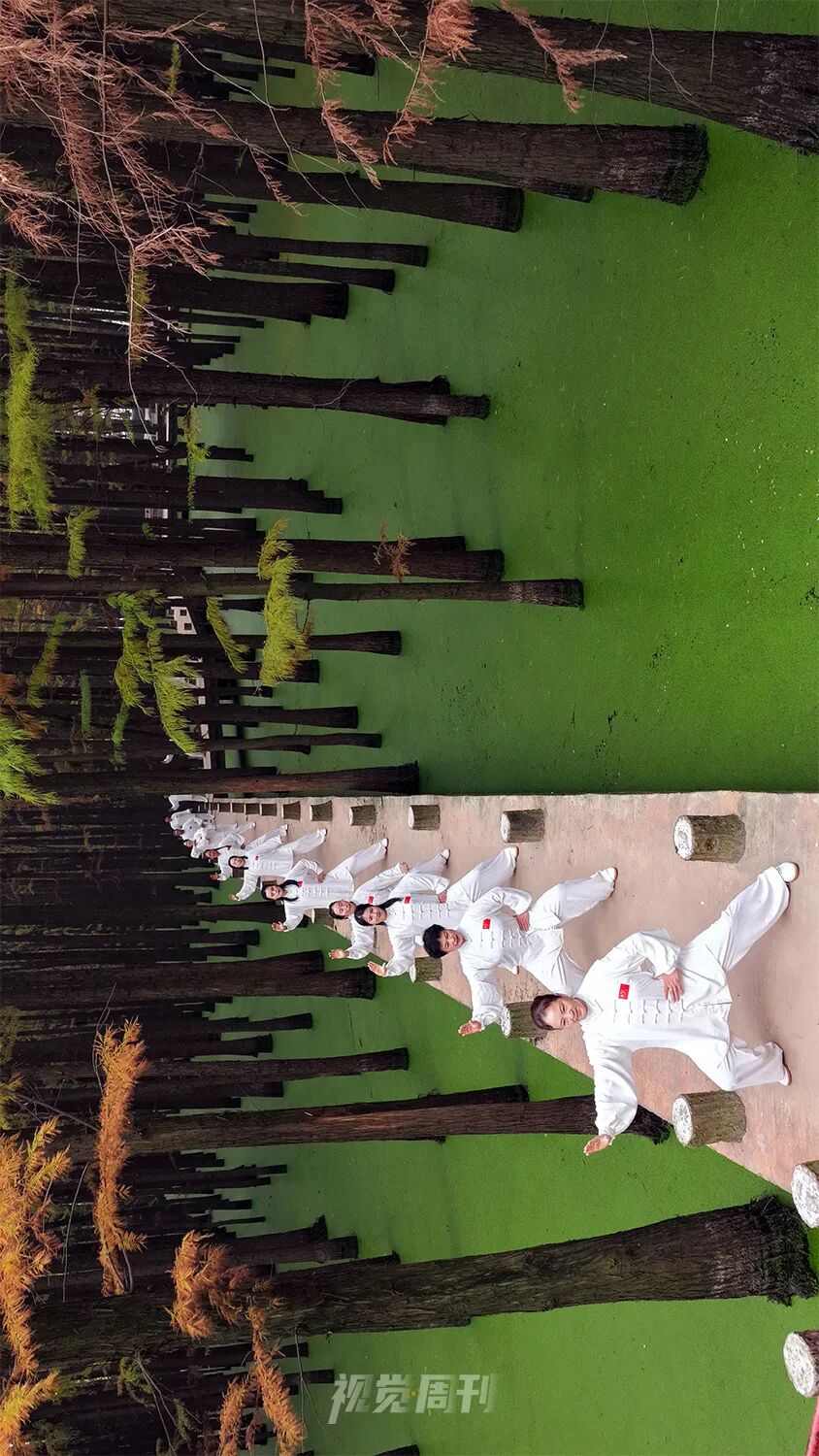 美！河南冬景上新啦