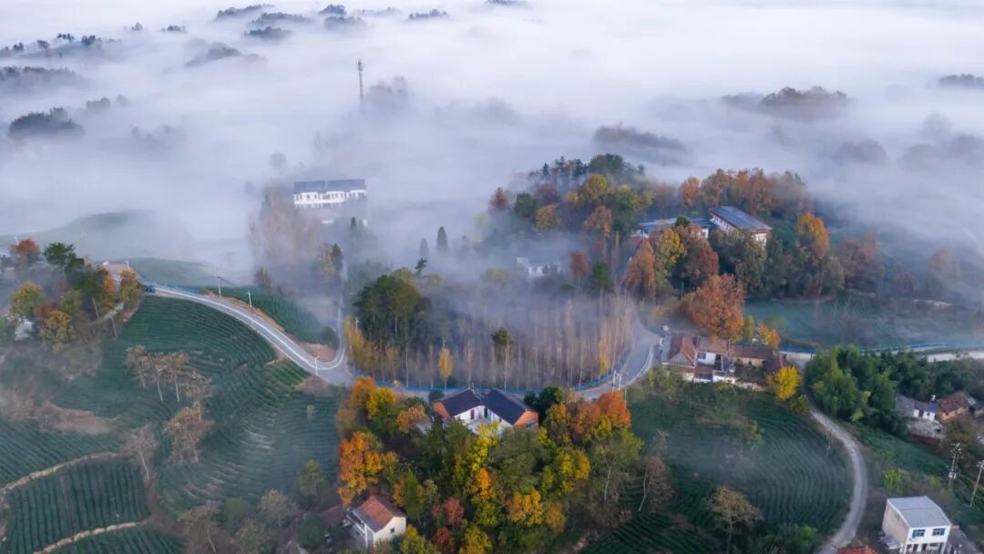 美！河南冬景上新啦