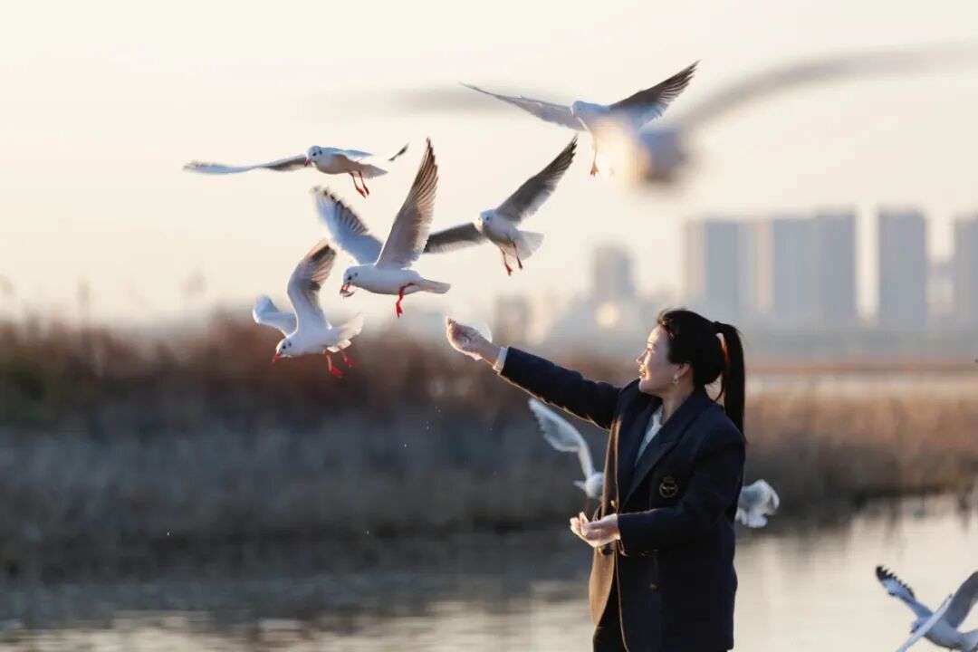美！河南冬景上新啦
