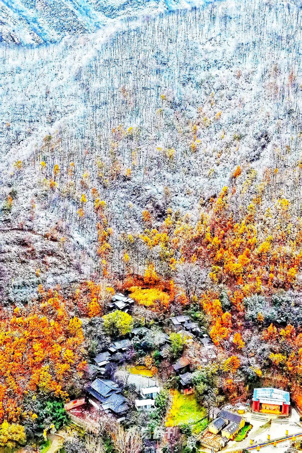 美！河南冬景上新啦