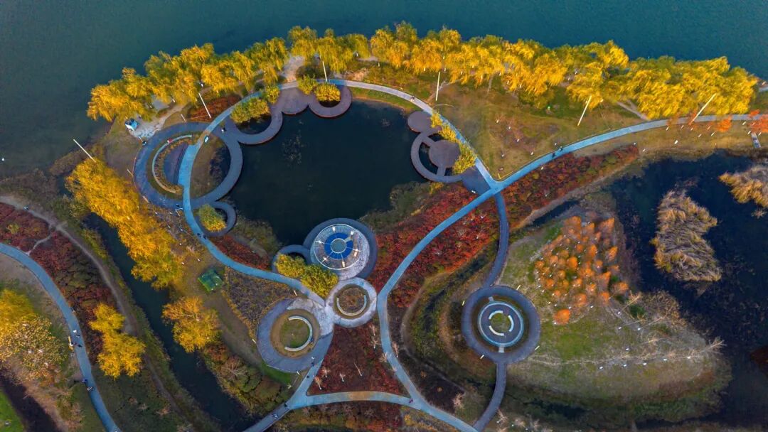 美！河南冬景上新啦