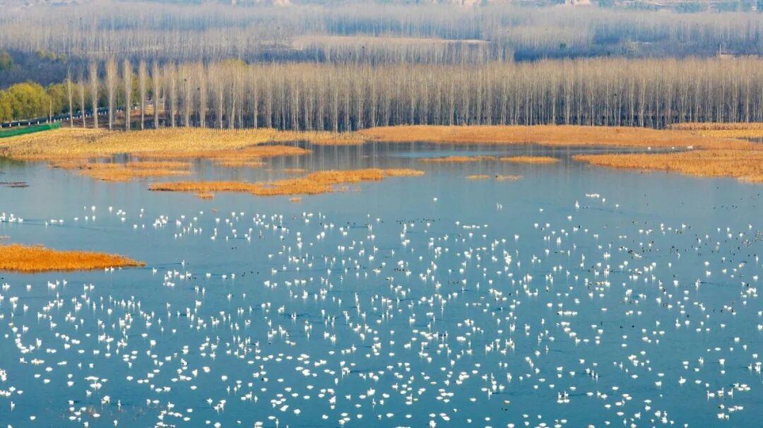 美！河南冬景上新啦