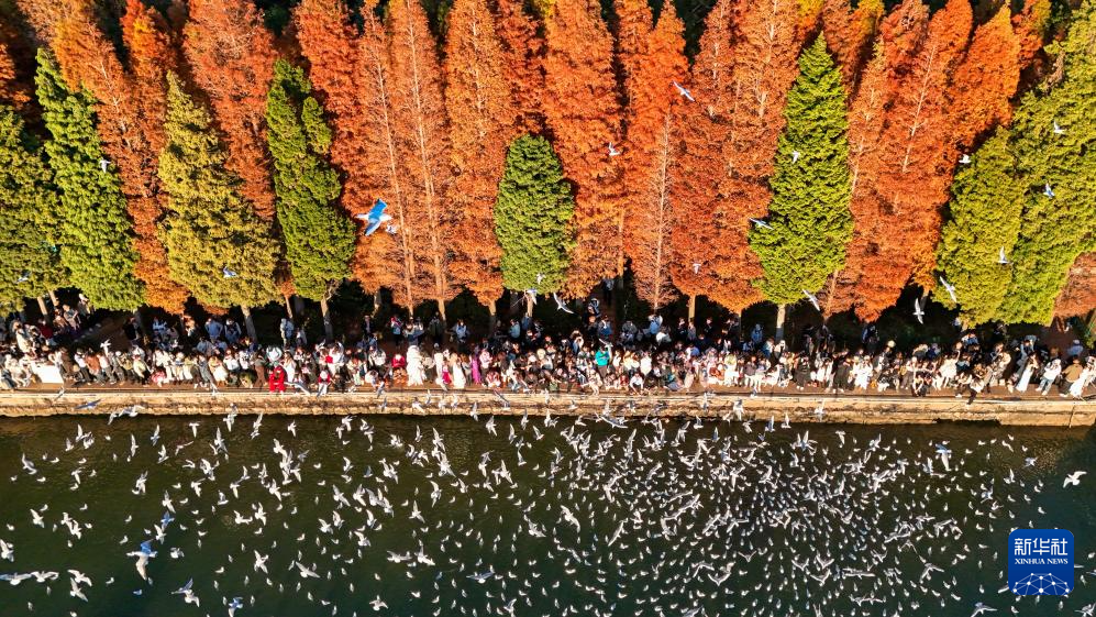 滇池:美景如畫(huà)引客來(lái)