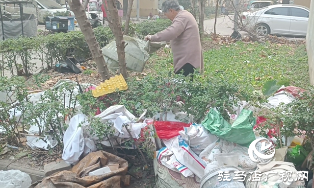 飛龍小區(qū)拾荒亂象引爭議 多方協(xié)力整治除隱患