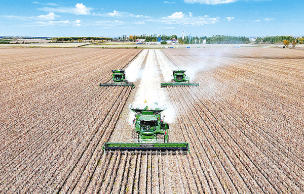 超1.4萬億斤！2025年全國糧食實(shí)現(xiàn)豐收