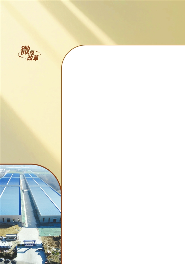 河南深化土地要素市場化配置改革,全面推行“交地即發(fā)證”