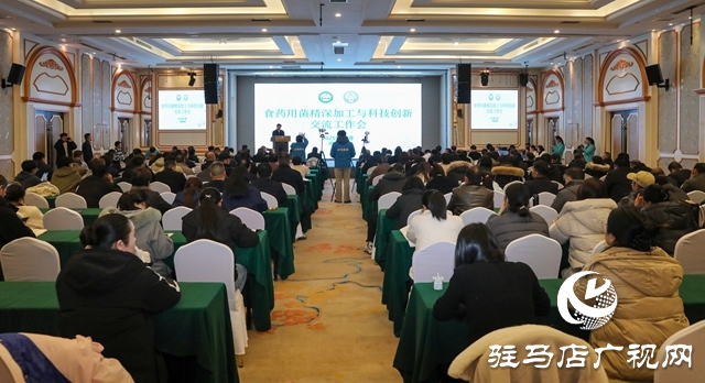 泌陽迎菌業(yè)年度盛會 聚智賦能繪就產(chǎn)業(yè)升級新藍圖
