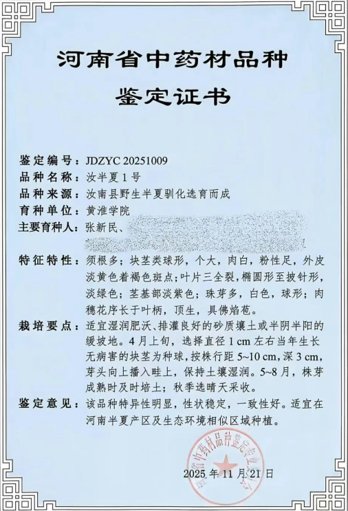  喜報(bào)！黃淮學(xué)院&ldquo;汝半夏1號(hào)&rdquo;獲省中藥材品種鑒定證書