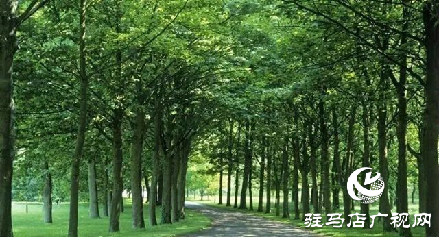 驛城區(qū)老河鄉(xiāng)被評(píng)為“美麗中國(guó)·深呼吸小鎮(zhèn)”