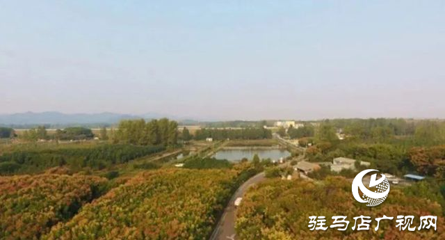 驛城區(qū)老河鄉(xiāng)被評(píng)為“美麗中國(guó)·深呼吸小鎮(zhèn)”