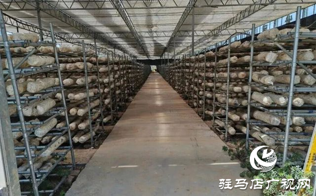 驛城區(qū)老河鄉(xiāng)被評(píng)為“美麗中國(guó)·深呼吸小鎮(zhèn)”