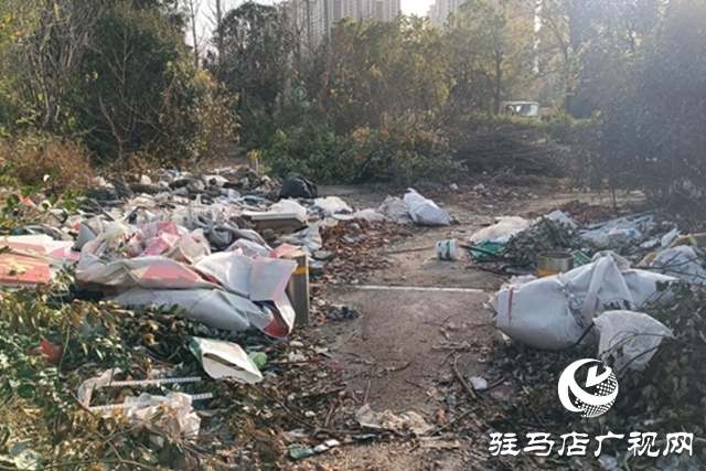 綠地&ldquo;失管&rdquo;變&ldquo;失顏&rdquo; 驛城大道沿線綠化帶衛(wèi)生堪憂