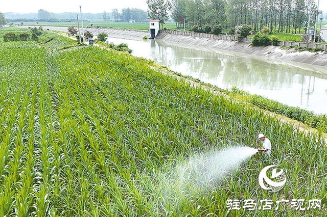 駐馬店：筑牢水安全屏障 繪就生態(tài)新畫卷