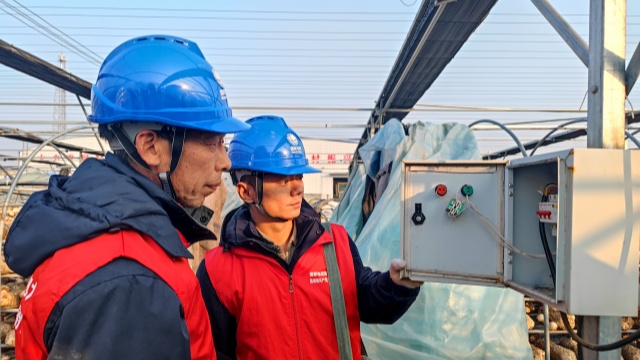 國網泌陽縣供電公司：黨建引領優(yōu)服務 電力護航興產業(yè)