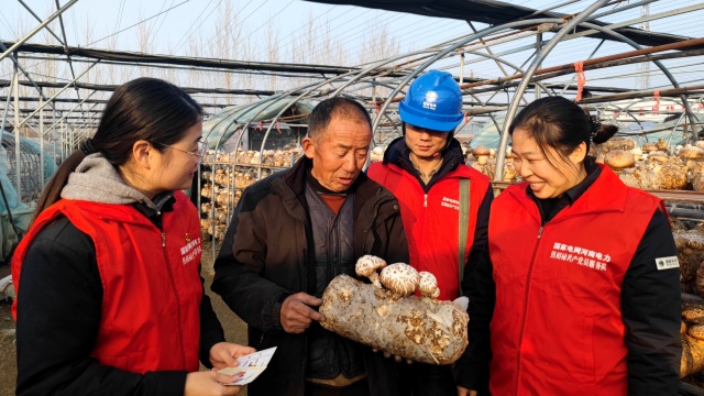 國網泌陽縣供電公司：黨建引領優(yōu)服務 電力護航興產業(yè)