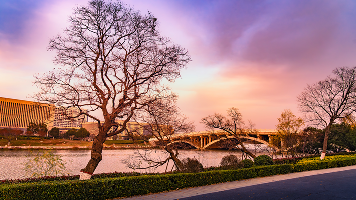 縣區(qū)動(dòng)態(tài) | 金輝染玉帶 樹影繪冬卷