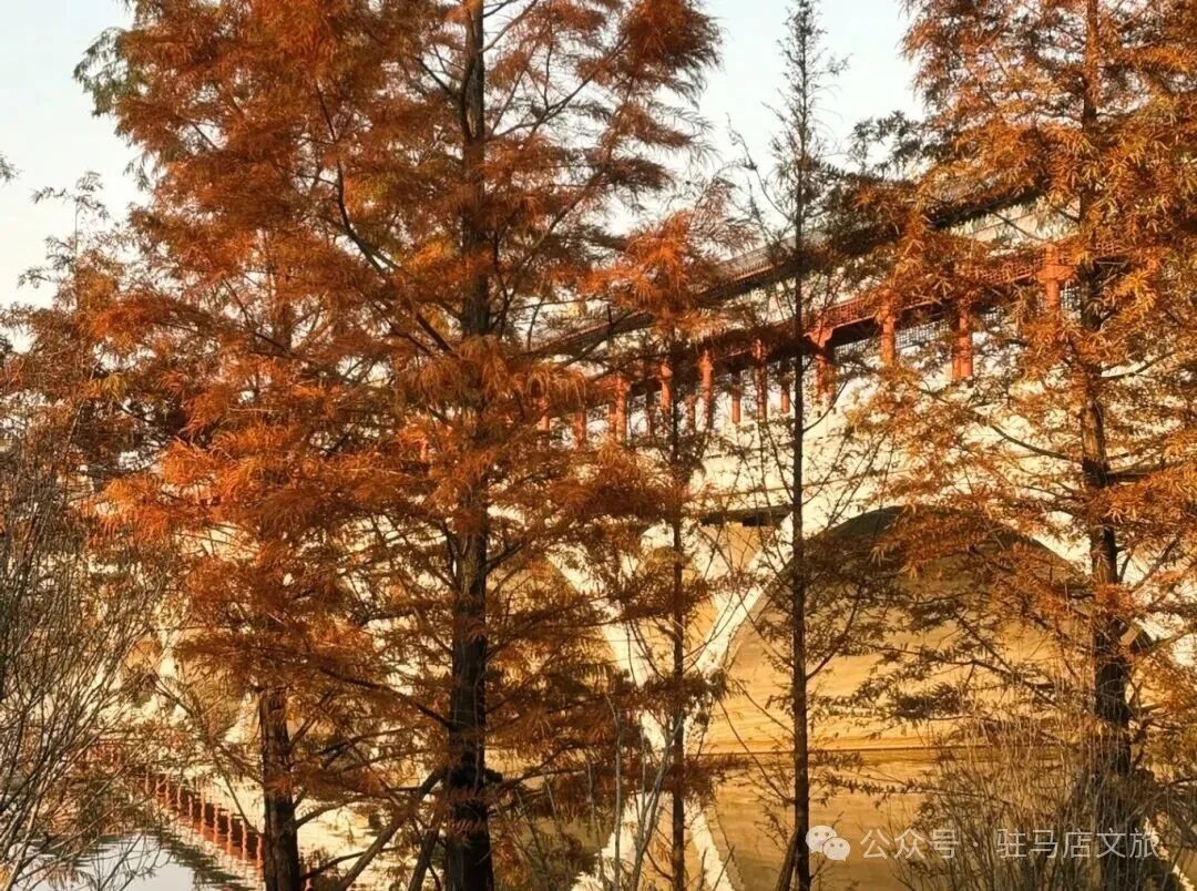 全部免費(fèi)！在駐馬店，收藏冬日的第一縷暖陽(yáng)