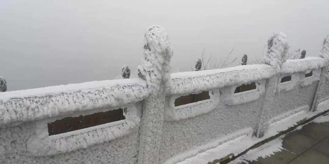 速凍的浪漫，這波冬日顏值“殺”我！