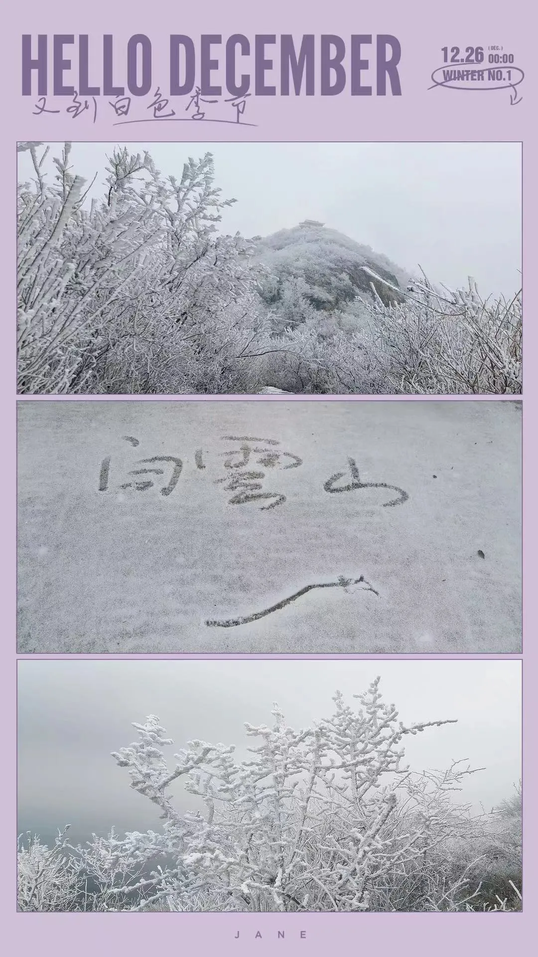 速凍的浪漫，這波冬日顏值“殺”我！