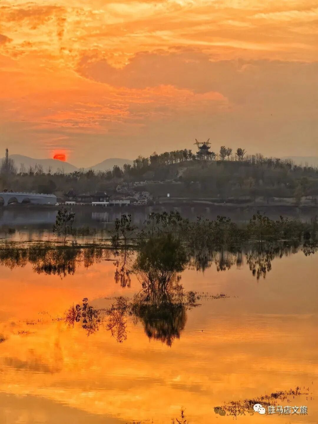 全部免費(fèi)！在駐馬店，收藏冬日的第一縷暖陽(yáng)