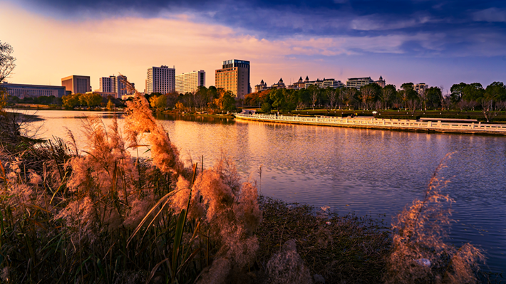 縣區(qū)動(dòng)態(tài) | 金輝染玉帶 樹影繪冬卷