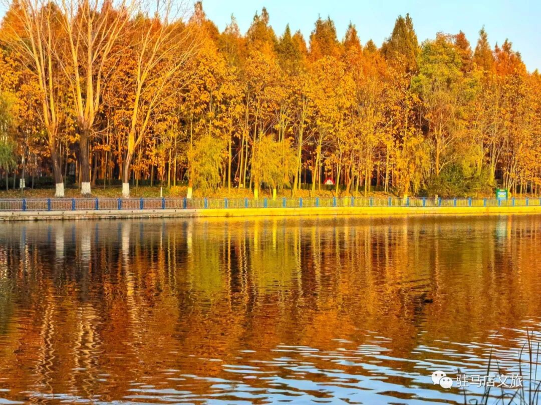 全部免費(fèi)！在駐馬店，收藏冬日的第一縷暖陽(yáng)