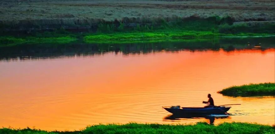 冬日限定！萬鳥齊飛，這幅生態(tài)畫卷美到心醉