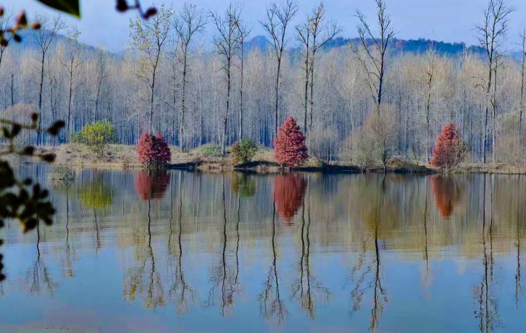 沖口村！把山水寫成詩(shī)的寶藏小村