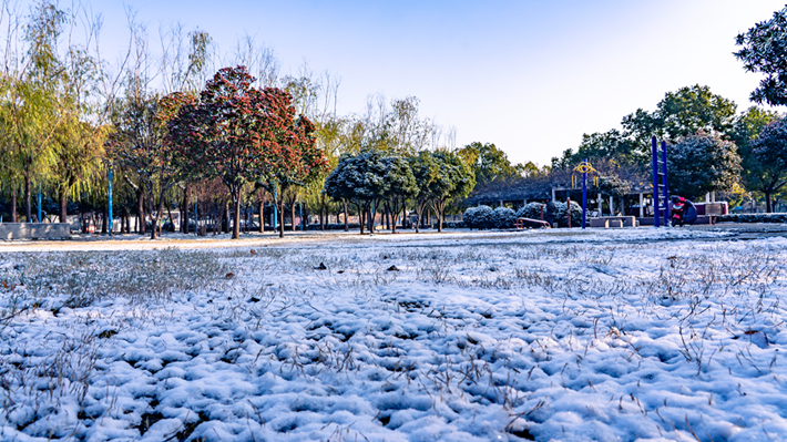 縣區(qū)動態(tài) | 雪落無聲 詩意滿園
