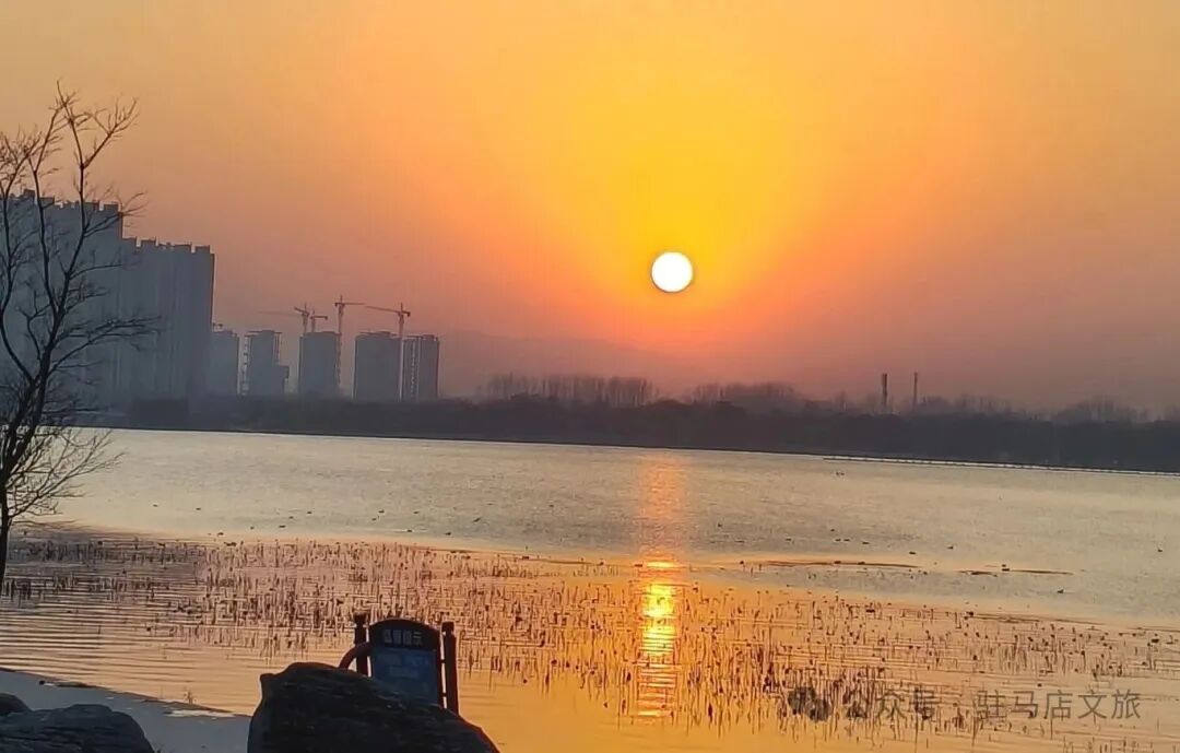 駐馬店的冬日浪漫，藏在這些地方