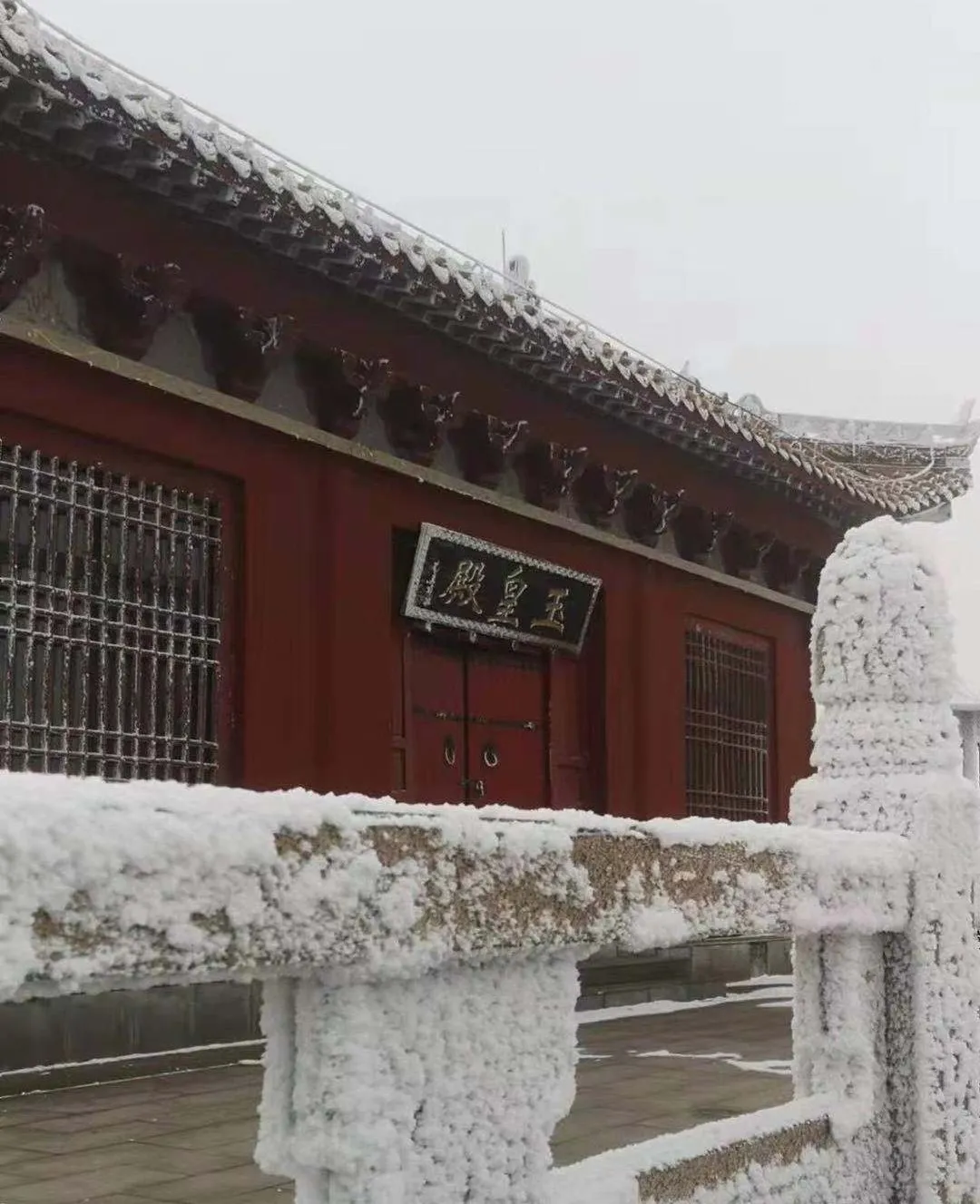 速凍的浪漫，這波冬日顏值“殺”我！