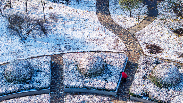 縣區(qū)動態(tài) | 雪落無聲 詩意滿園