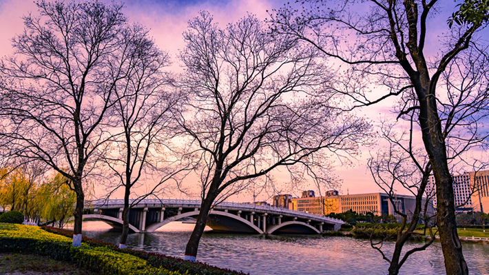 縣區(qū)動(dòng)態(tài) | 金輝染玉帶 樹影繪冬卷