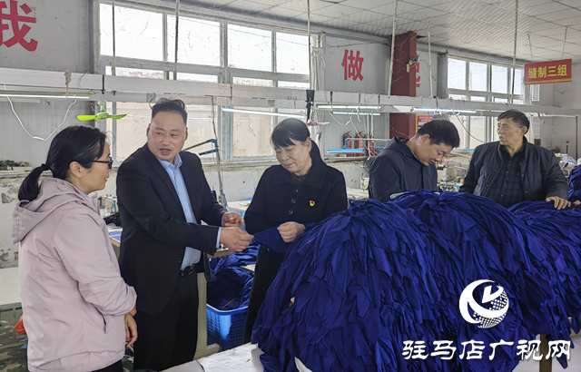 泌陽縣羊冊鎮(zhèn)陶莊村：“點線面”工作法 繪就立體黨建新畫卷