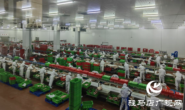 上農(nóng)實業(yè)：沖刺四季度 保障&ldquo;肉案子&rdquo;