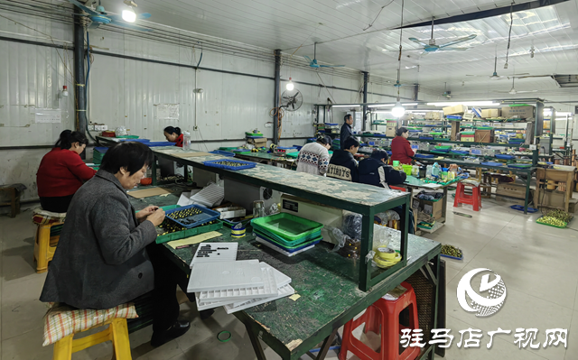 泌陽縣羊冊鎮(zhèn)陶莊村：“點線面”工作法 繪就立體黨建新畫卷