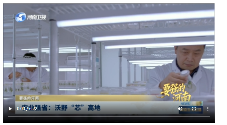 農(nóng)業(yè)強(qiáng)省：沃野“芯”高地丨要強(qiáng)的河南